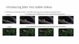Moving Object Segmentation in Synthetic Jittery Videos
