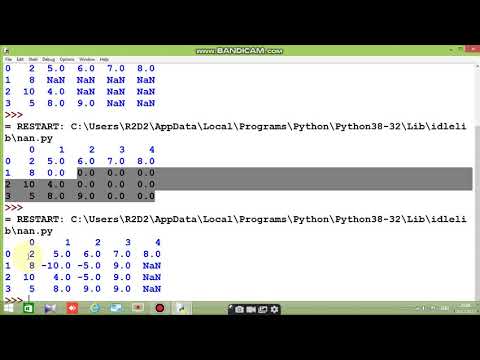Class 12 CBSE IP(Dataframes  Missing data and filling values)