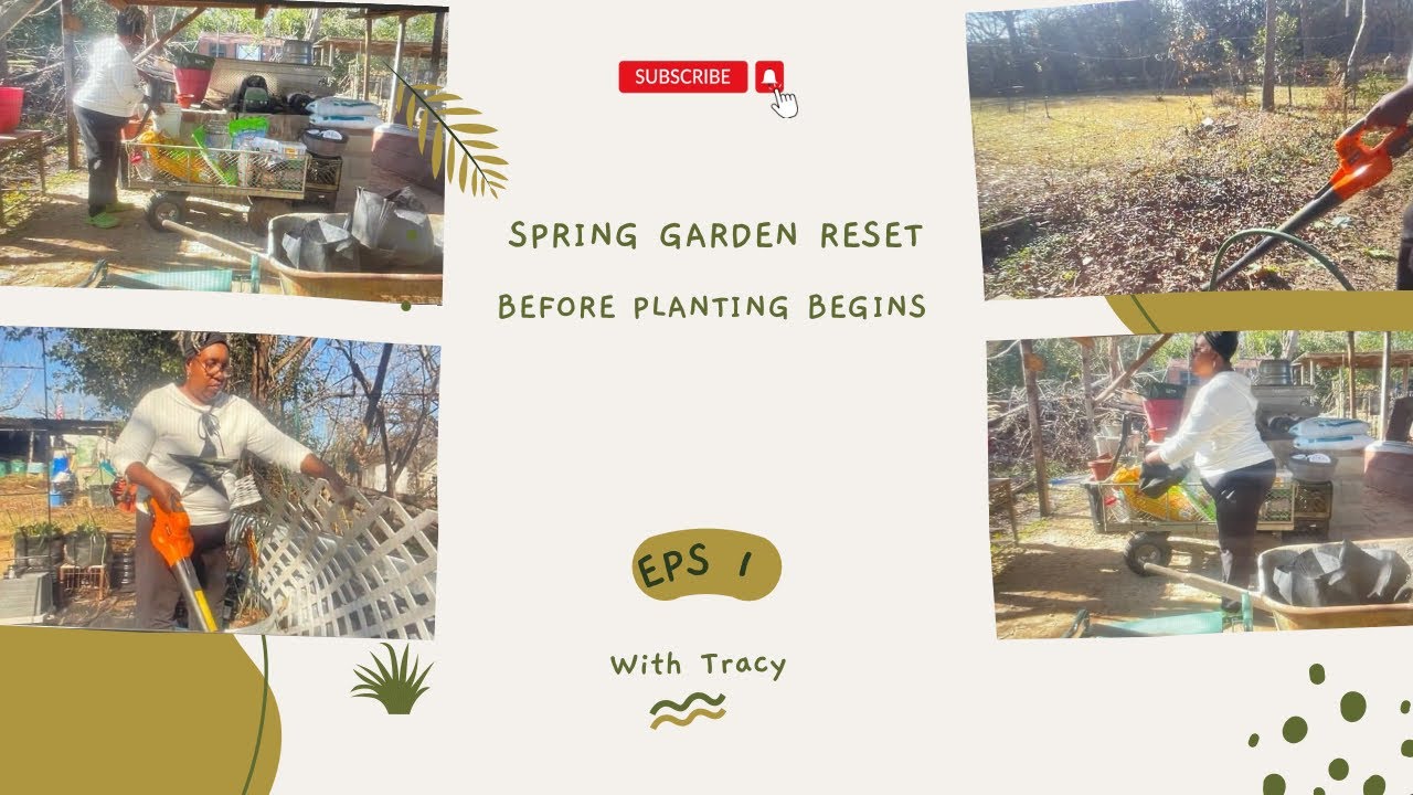 Garden Reset Before Spring | Cleaning, Organizing & Planning 