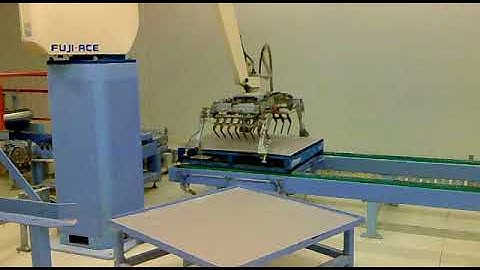 Fuji robot   pallet delivery + slip sheet function bag