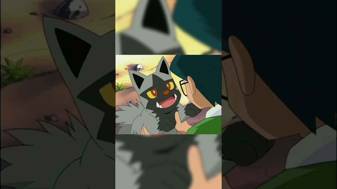 Max's Pokemon Team?! Pokemon That Max Became Friends With!