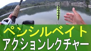 バス釣り　ペンシルベイトアクションレクチャー(入門)　まるりんのMY GAME