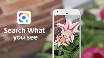 Search What you See | Google Lens Tips & Tricks