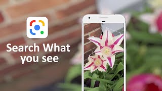 Search What you See | Google Lens Tips & Tricks screenshot 4