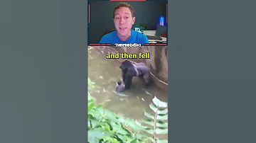 The Unknown Story Of Harambe 