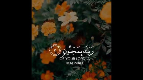 راحة نفسية🌿اجمل حالات واتس اب قرآن كريم بصوت جميل جدا🎧💖 تلاوة خاشعة ومؤثرة🌸🍃