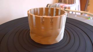 Information The Rook: A 3D Printed Mini Zoetrope / Record Stabilizer Guide
