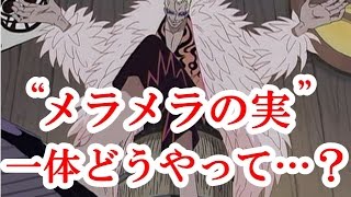 ワンピース考察 ドフラミンゴはどうやって メラメラの実 を手に入れたのか Youtube