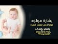 شيلة بشارة مولود باسم يوسف