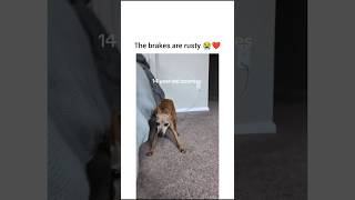 Not her cussin at you cuz she hit a wall 😂