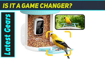 NETVUE by Birdfy AI Smart Bird Feeder - The Best Gift for Bird Lovers!