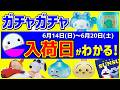 【ガチャガチャ】見逃し厳禁🔥サンリオの最新情報と入荷日がわかる発売スケジュール!6月14日(日)~6月20日(土)おすすめまとめ