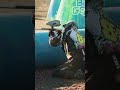 🚀 Heat Seeking Missile  #infamouspaintball #paintball