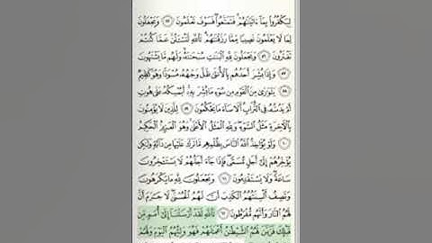 ربع وقال الله سورة النحل للشيخ الحصرى المعلمthe third part Anahl Alhossary Almoalem