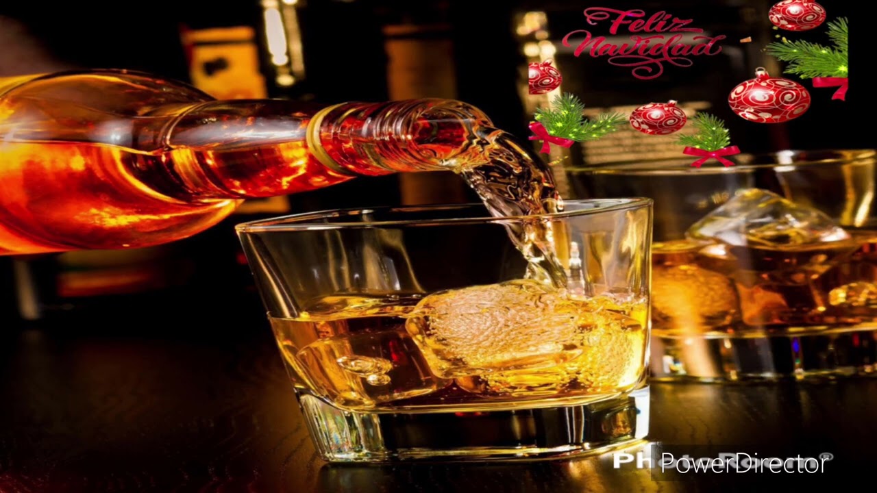 VICENTE DE MONTPELLIER - ALBUM 2023