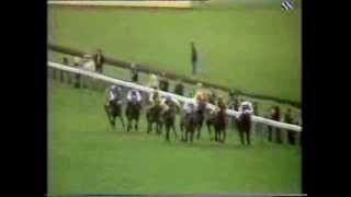 1973 Benson and Hedges Gold Cup