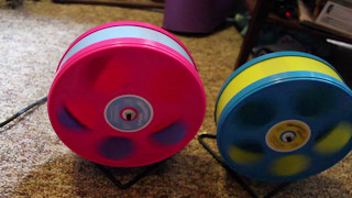 Wodent Wheel review!