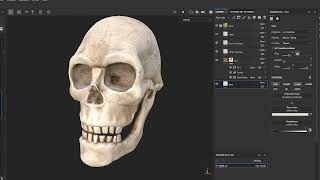 Skull Substance Painter Showcase
