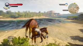 Famous The Witcher 3: Wild Hunt: Roach is weird Net Worth