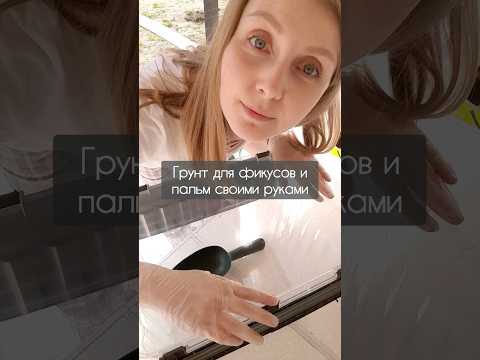 Идеальный грунт для фикусов, #пальмы , замиокулькосов,  спатифиллумов и т.п. своими руками #фикус