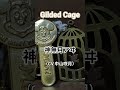 神無月アヰ(CV.中山咲月)『Gilded Cage』を歌ってみた♪ #歌ってみた #GildedCage #神無月アヰ #中山咲月 #キンプリ #キンツア #kinpri #ディズニー #ミッキー
