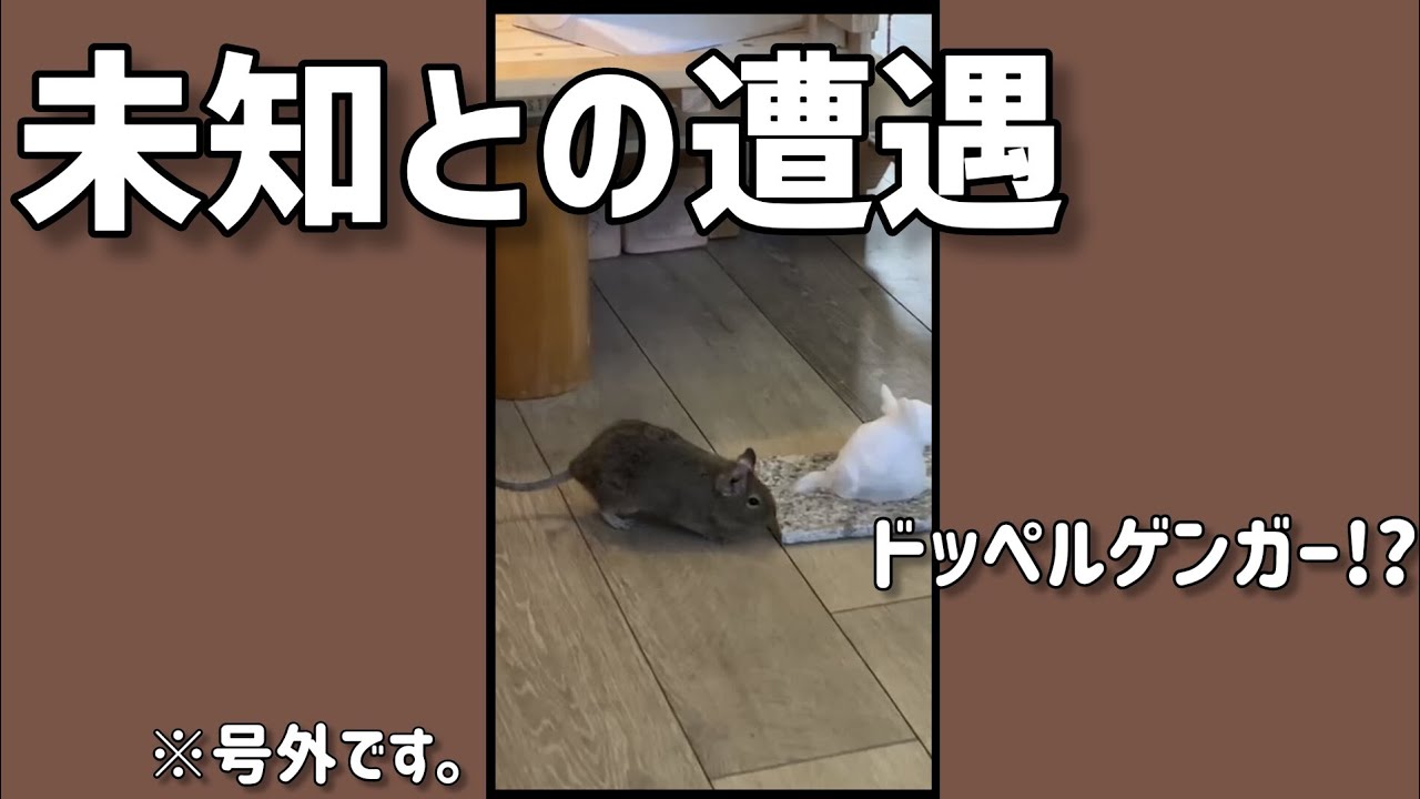Gfdhd Gfdhd