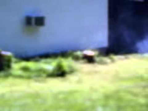 Exploding tree stump with 1/4 stick