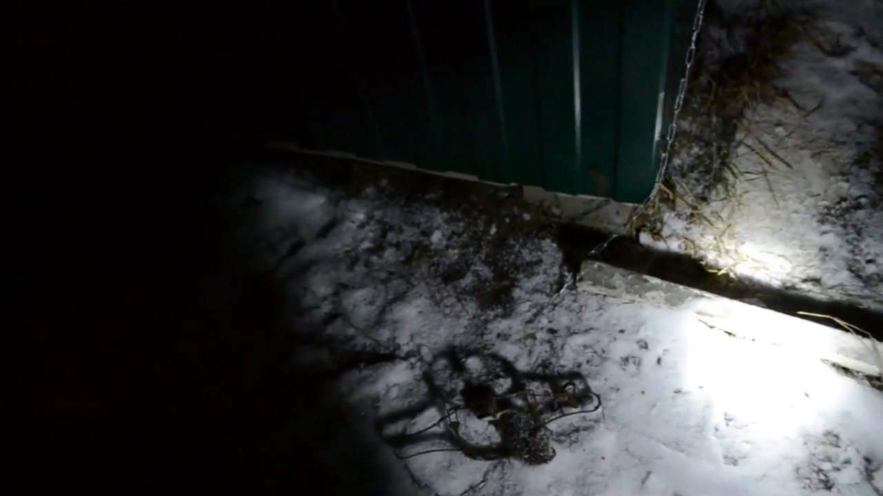 Нападение крыссссс... Отбиваюсь... - YouTube Записки дачника