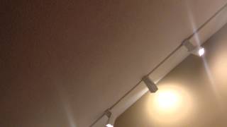 IMG 09291