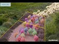 Computer vision app counts sheep without sleep