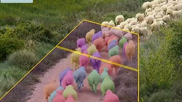 Computer vision app counts sheep without sleep!