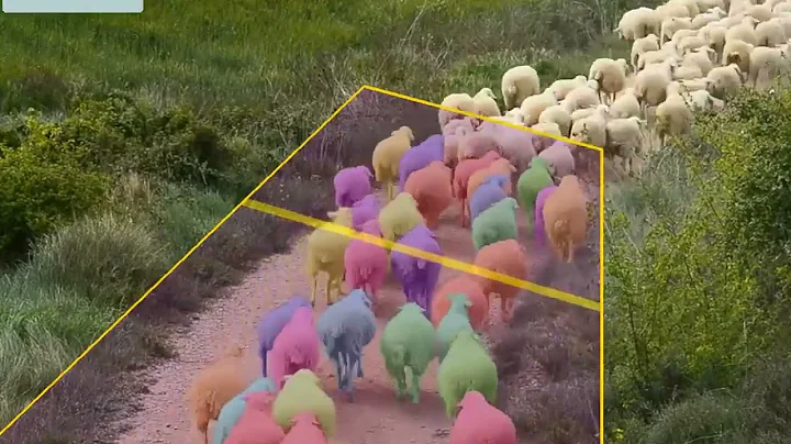 Computer vision app counts sheep without sleep!