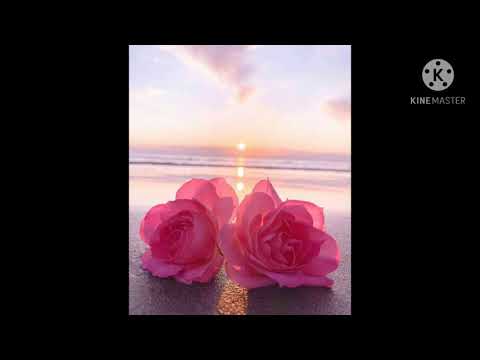 سورة النجم تلاوة هادئة روووووعة للقارئ محمد عادل السكري