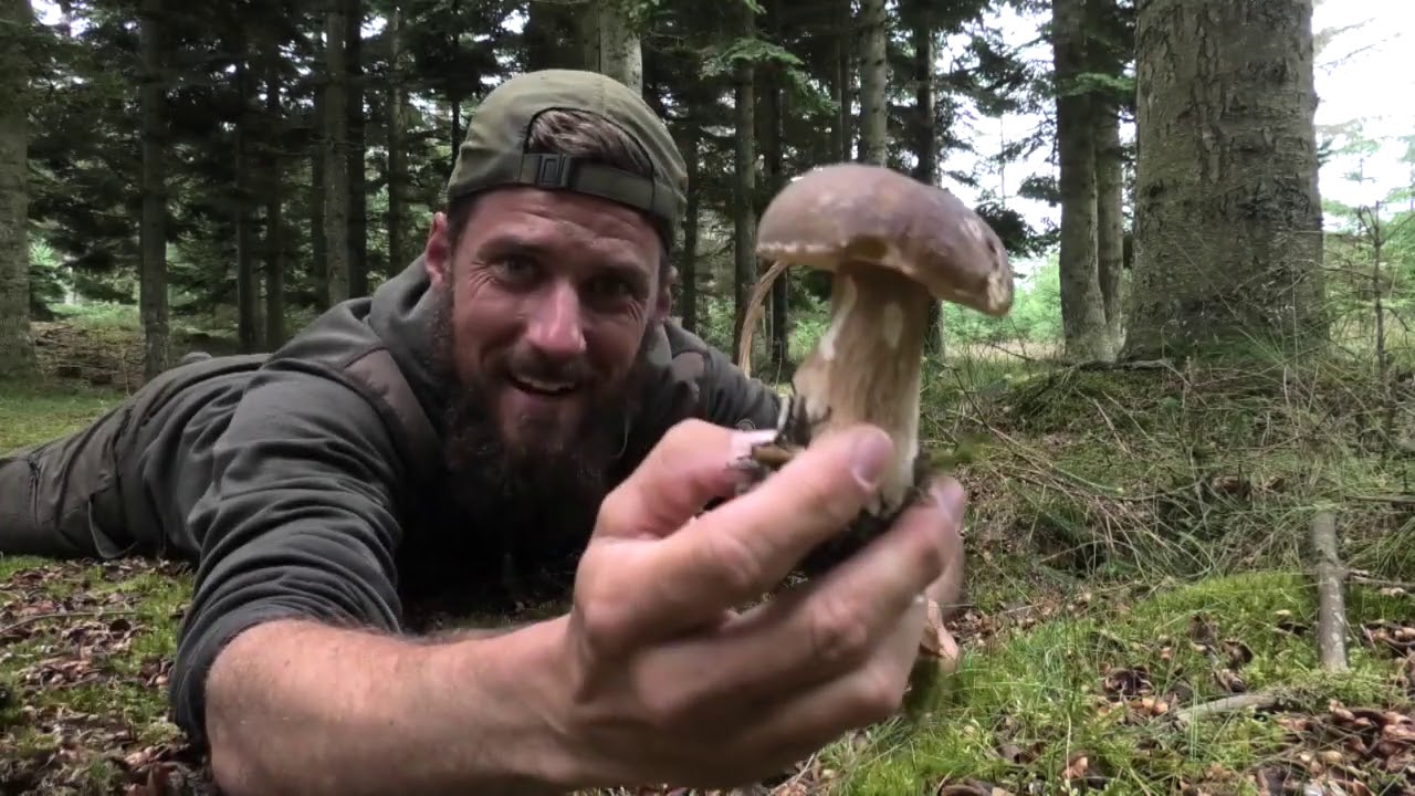 NaturNørd 216. SVAMPE SÆSONEN ER IGANG!!!