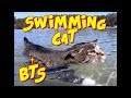 Swimming Cat Didga + BTS footage