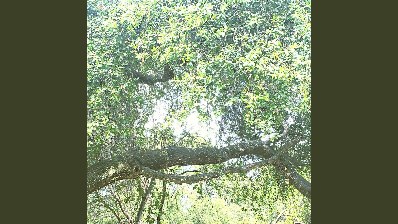 For You auf YouTube ansehen For You auf YouTube ansehen