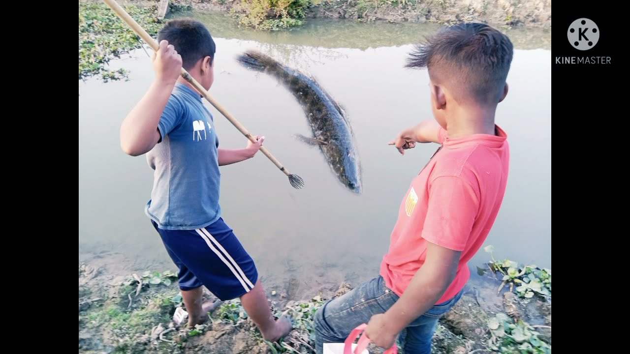 Best Tata Fishing Video🥰 Hunting Big Fish With Tata From Mud Water😍 Spearfishing & Catch Big Fish