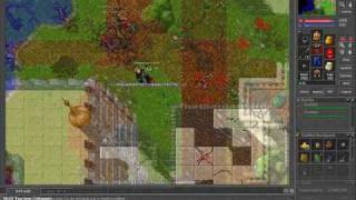Tibia Morgana Hopeso live