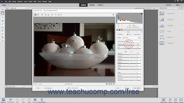 Photoshop Elements 2020 Tutorial Applying and Saving Custom Camera Settings Adobe Training