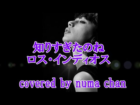 知りすぎたのね／ロス・インディオス　covered by numa chan