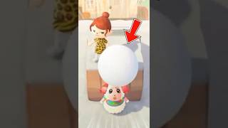 巨大な雪玉を頭に落としてみた結果 #あつ森 #あつ森アプデ