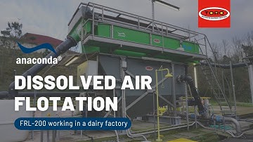 Dissolved Air Flotation working in a dairy factory - Anaconda ®