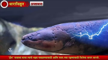 9th Science | Chapter#03 | Topic#01 | प्रस्तावना | Marathi Medium