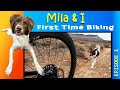 INTRODUCING: Mila! The new trail dog