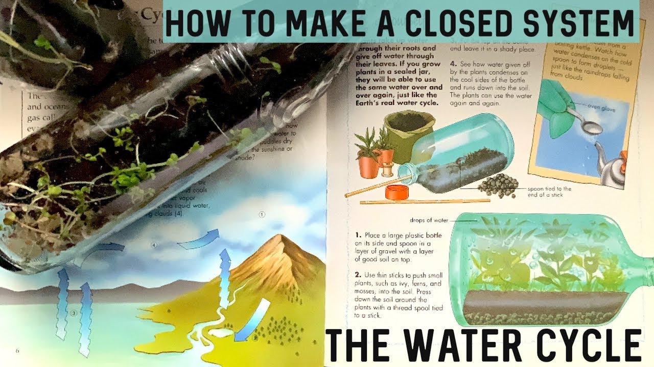 The Water Cycle | How To Make A Closed System