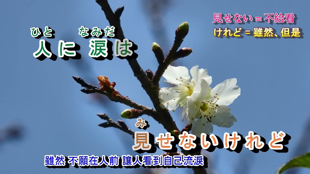 のれん一代 美空ひばり字義版 - YouTube
