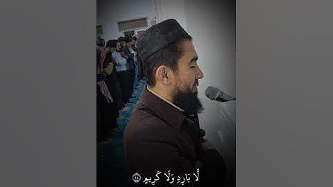 م.شکر صابر شەوی ٢٦/١٤٤٦ليلة القدر/سورة الواقعة كاملة