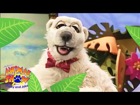 🐆 Cheetahs vs. Gazelles's Ultimate Chase 🦌 | Full Episode | Animals Show for Kids
