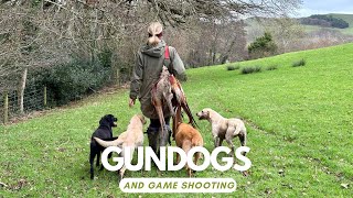 A real life view of British driven shooting and picking up