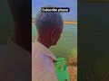 fish lovers